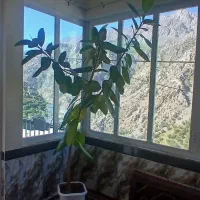 خانه اجاره ای یک شبه در اورامان تخت|اجارهٔ کوتاهمدت ویلا و باغ|اورامان, |دیوار