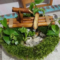 آب نما با گیاهان طبیعی|صنایع دستی و سایر لوازم تزئینی|سرخنکلاته, |دیوار