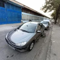 206اس دی v20  مدل87 معاوضه با 207