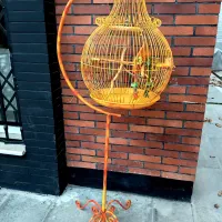 شلوار جین اورجینال قفس پرنده ساعت دیواری فرش هودی