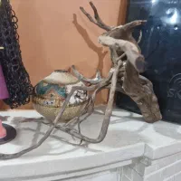 آکواریوم|ماهی|تهران, سردارجنگل|دیوار