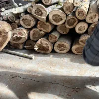 کارگر ساده جهت جابه جایی انبار گردانی بسته بندی