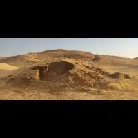 کاه زرد و سفید