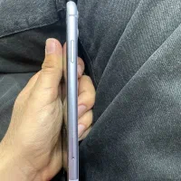 iPhone 11 normal|موبایل|قم, باجک دو|دیوار