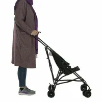 کالسکه عصایی دلیجان|کالسکه و لوازم جانبی|ساری, |دیوار