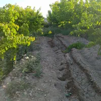 باغچه ۴دیواری سنددار