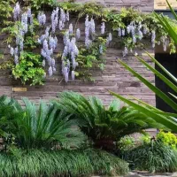 ویلا ساحلی  دریا بیشه تهاتر  با تهران کرج|فروش خانه و ویلا|رویان, |دیوار