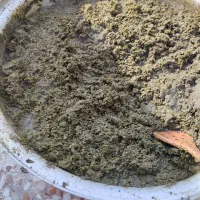 سبزی خورشتی وسبزی آش وسبزی ماهی وکوکو وپلویی