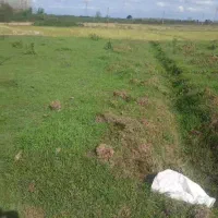 فروش زمین|فروش زمین و ملک کلنگی|طاهرگوراب, |دیوار