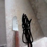 راستی سلاخ آشبز خانه گوشت بریدن