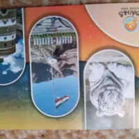 کارت گهر پارک