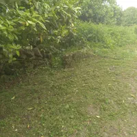 علف تراشی و سم پاشی باغ بادستگاه علف تراش وسم پاش|خدمات باغبانی و درختکاری|کلاچای, |دیوار