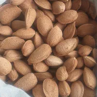 بادام شیرین ودوقلو|خوردنی و آشامیدنی|اصفهان, الهیه|دیوار