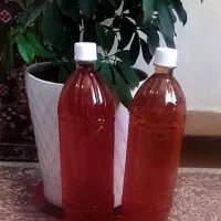 آبغوره دست ساز محلی|خوردنی و آشامیدنی|اصفهان, بیدآباد|دیوار