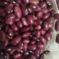 لوبیا قرمز خوش پخت