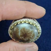 انگشتر شجر نقره واقعا تک ، سایز 63،|کلکسیون اشیاء عتیقه|بومهن, |دیوار