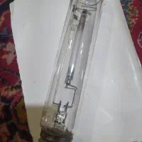 یک عددلامپ