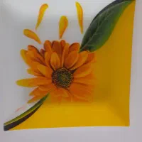 کیک خوری