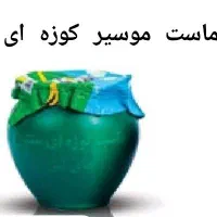 ویزیتور حضوری
