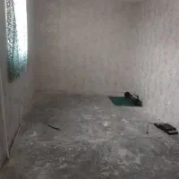 اجاره خانه ویلایی حیاط دار دربست|اجارهٔ خانه و ویلا|تهران, صاحب الزمان|دیوار