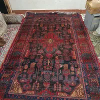 فرش دستباف قشقایی ۶ متری پشم دست ریس|فرش|خرم‌آباد, |دیوار