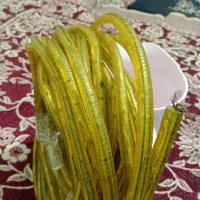 شیلنگ یخی نوری وایرلس به متراژ 30متر|ریسه و چراغ تزئینی|سیرجان, |دیوار