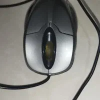 موس|قطعات و لوازم جانبی رایانه|همدان, |دیوار
