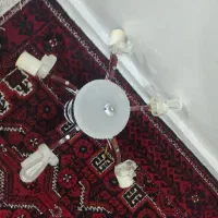 لوستر