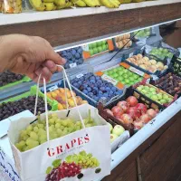 استخدام همکار خانم و آقا در سوپر میوه وتره بار