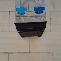 قفس پرنده