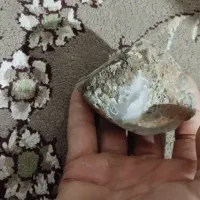 سنگ فروشی کسی خواست تقریبا۸۰گرم میشه