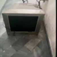 تلوزیون