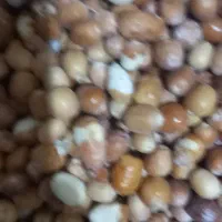 سنجد|خوردنی و آشامیدنی|دلیجان, |دیوار