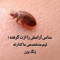 سمپاشی تخصصی سوسک کابینت .سوسک بزرگ .موش بید