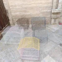 قفس پرنده
