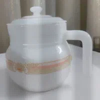 ارکوپال آمریکایی  mp
