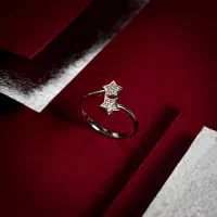 انگشتر زنانه سرایا نقره سرای آلپ|جواهرات|شهریار, شهریار|دیوار