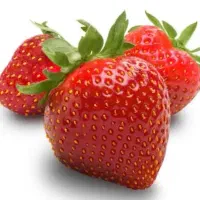 لباس زیر فانتزی