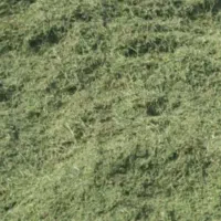 یونجه