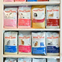 رویال کنین مولتیکالر رفلکس هپیکت جوسرا آنلاین شاپ|لوازم جانبی حیوانات|تهران, جنت‌آباد مرکزی|دیوار