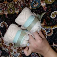 کفش اسپرت