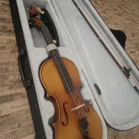 ویالون تی اف سایز ۴/۴|ویولن|شیراز, دشت چنار|دیوار