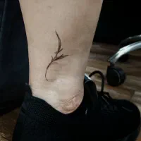 خدمات تتو بانوان ، رشت