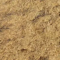 فروش کاه نرم