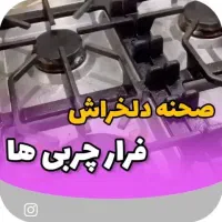 محصولات  شوینده ی حرفه ای نانو آلمان|مواد شوینده و دستمال کاغذی|تهران, آذری|دیوار