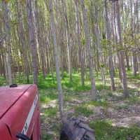 معاوضه تراکتور