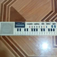 ارگ قدیمی کلکسیونی