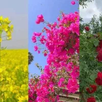 راهنمایی ک ا ر