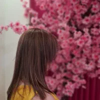 رنگ و لایت و کوتاهی تخصصی|خدمات آرایشگری و زیبایی|جم, |دیوار