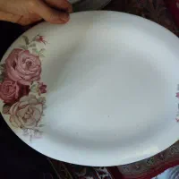 دیس برنج وکباب